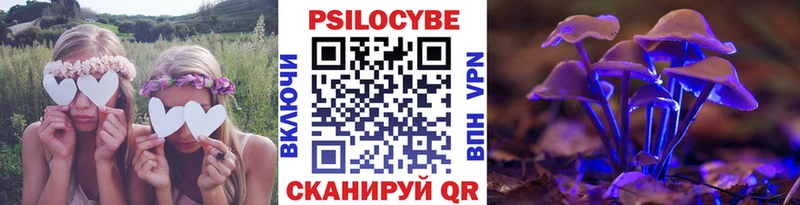 закладка  Тулун  mega сайт  Галлюциногенные грибы Psilocybe 
